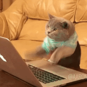 GIF Test 😎